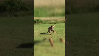 Ohm Fa Cadere Enry Lazza In Villa Elites