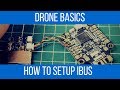 How to wire and setup flysky Ibus in betaflight // Under 5 Minutes