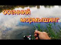 Осенний мормышинг с neoline 0.1-2.