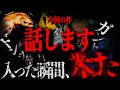 今回の動画について話します！