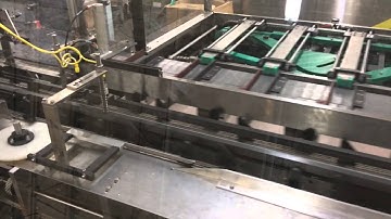 Econocorp Pegasus Cartoner with Bucket Conveyor & Infeed for 2 pack of trays