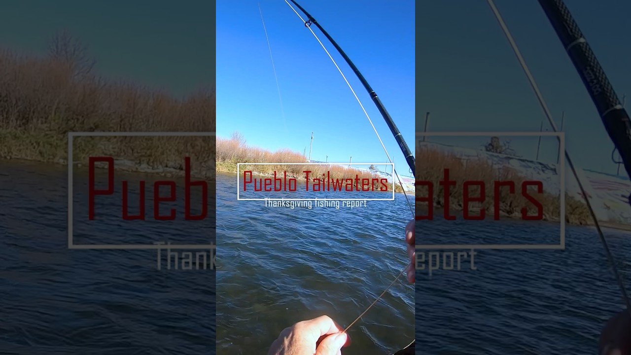 Pueblo Tailwaters holiday fishing report.   