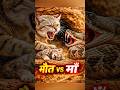 सांप की मौत VS माँ का संघर्ष। 😱🥹😱 #animalshorts #animals #forest #shorts