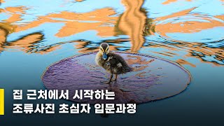 집 근처에서 시작하는 조류사진 초심자 입문과정 / 김 철 작가