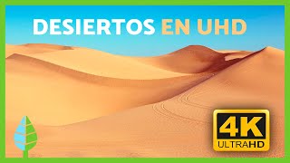 Los mejores PAISAJES de DESIERTOS en 4K 🏜️ | Dunas, Arena y Oasis