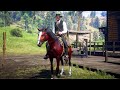 RDR2 Outfits for Every Horse: Red Chestnut Arabian