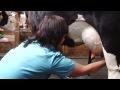 Как доят корову в Егорьевском районе на экоферме в деревне Рыжево