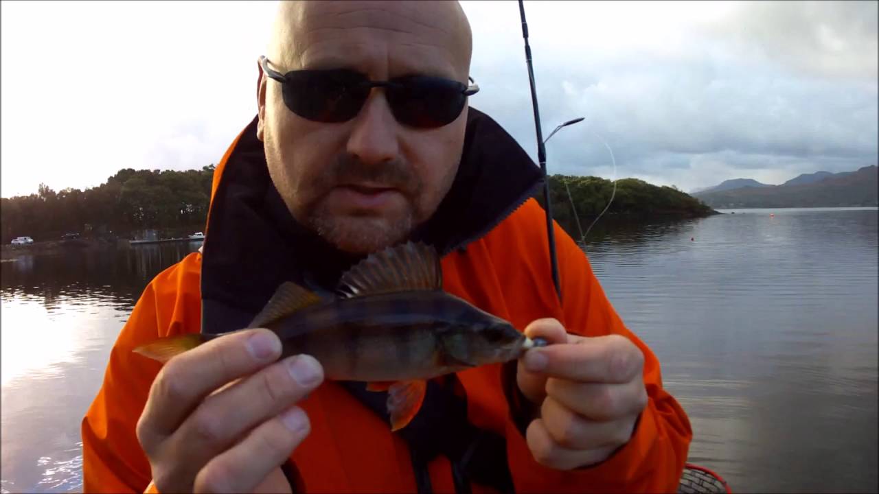 Soft Plastic Lures for Trout YouTube