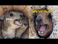 yep, we're stuck