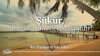 Şükür Mevcut Nimetlerin Bağı, Mevcut Olmayanların ise Avıdır! | İbn Atâullah el-İskenderi
