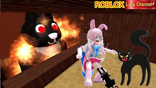 CON MÈO DỄ THƯƠNG NHƯNG BẤT ỔN | Escape Scratch The Cat Obby ROBLOX