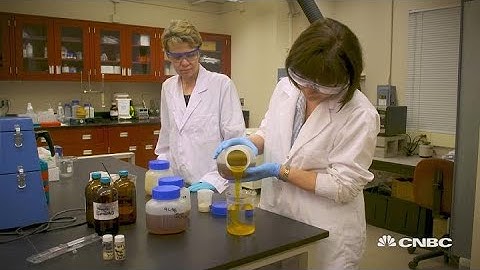 Could shrimp shells help extract uranium from the ocean to fuel nuclear plants? | Sustainable Energy