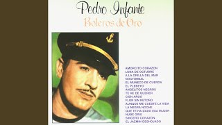 Video thumbnail of "Pedro Infante - Flor sin retoño"