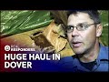 Massive Haul Of Cannabis Caught At Dover | Customs | Real Responders