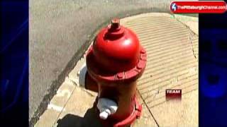Team 4 Investigation: Fire Hydrant Flow Inspections