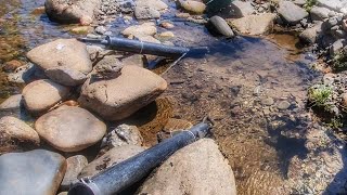 gold panning Devon amazing river by the gold adventurer 4,923 views 2 years ago 3 minutes