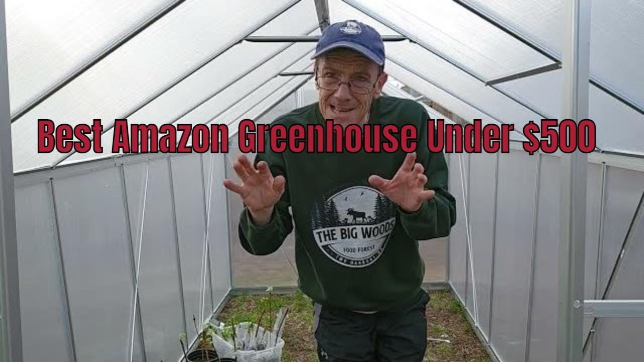. Unboxing and Reviewing the Best Amazon Greenhouse Under $500