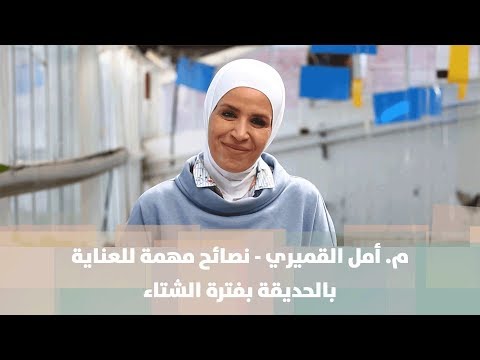 فيديو: العناية بالحدائق الشتوية المتأخرة - مهام الحديقة لنهاية الشتاء