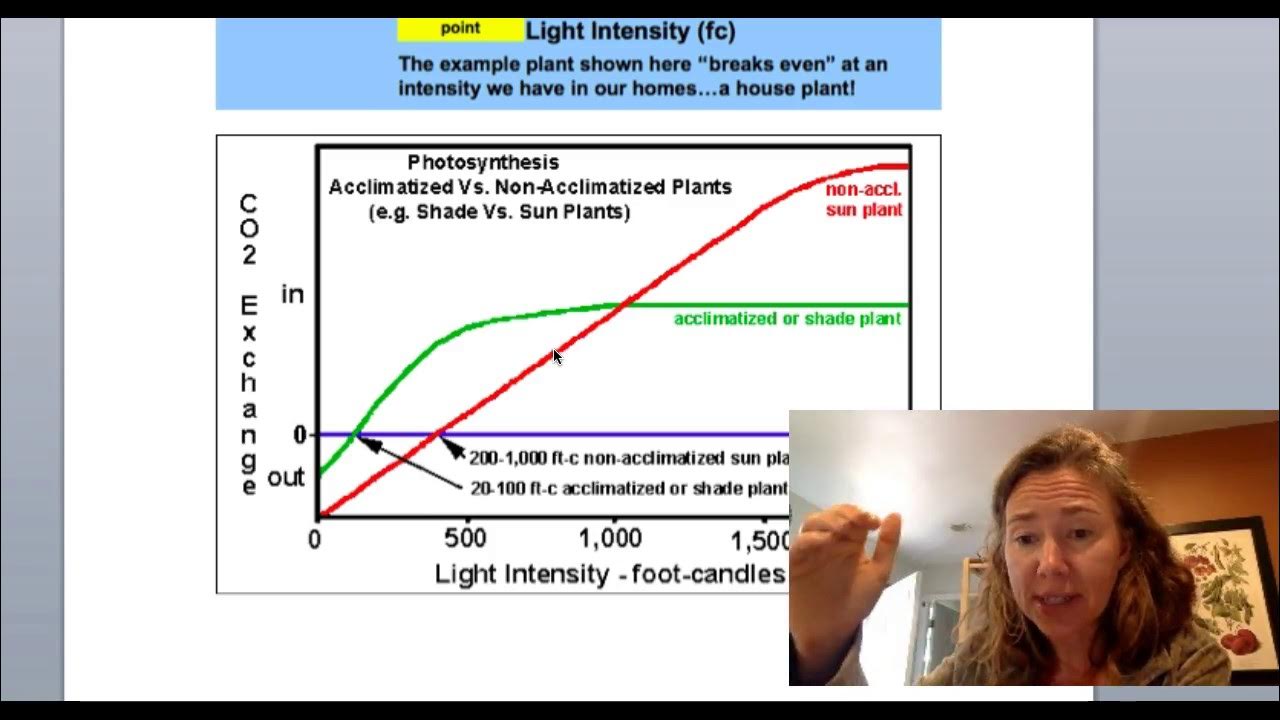 Light Intensity and Photosynthesis and light