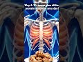 What Happens If You Eat Chicken Every Day? 🍗 (30 Days Transformation) #ai #shorts #chicken