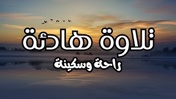 تلاوة هادئة للنوم ❤️ راحة نفسية 💚 | القارئ امير عادل  Amir Adel