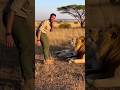 #LionPrank#WildlifeTeasing#RealSafari