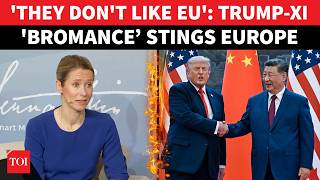 Famous Trump-Xi Summit Annoys EU As Kallas Points To JD Vance's Speech; 'Worse When Elephants Make Love' Net Worth
