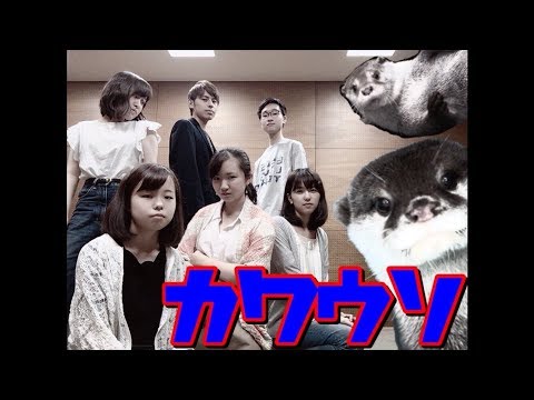 19．カワウソ－歩いて帰ろう