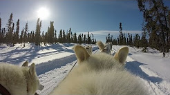 CGTN documentary - YouTube CGTN documentary - YouTube