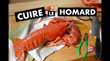 Comment savoir si un homard est une femelle ?