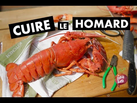 COMMENT CUIRE ET DÉCORTIQUER DU HOMARD - CUISSON PARFAITE  Petite bette