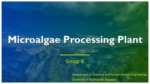 FED Presentation on Microalgae Processing Plant