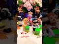 Shaun the sheep dan onet kuning asik main drum bersama