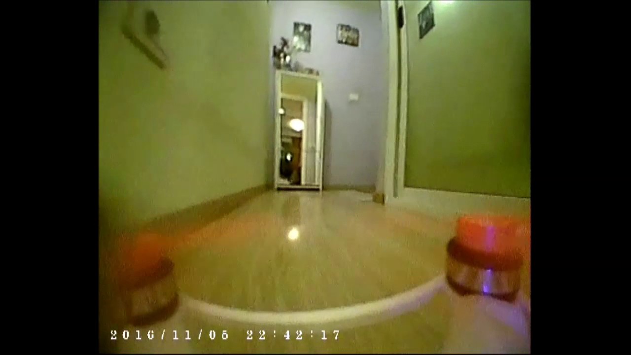 Martian 95mm Brushless 2s in da house