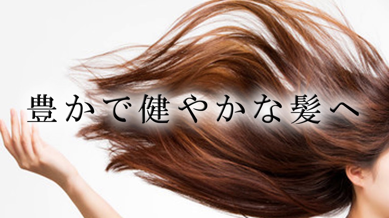 人気メーカー ブランド 薄毛の方必見 増毛 育毛 Dds エキス スカルプケア Matrix ヘアケア スタイリング Zir Clinic