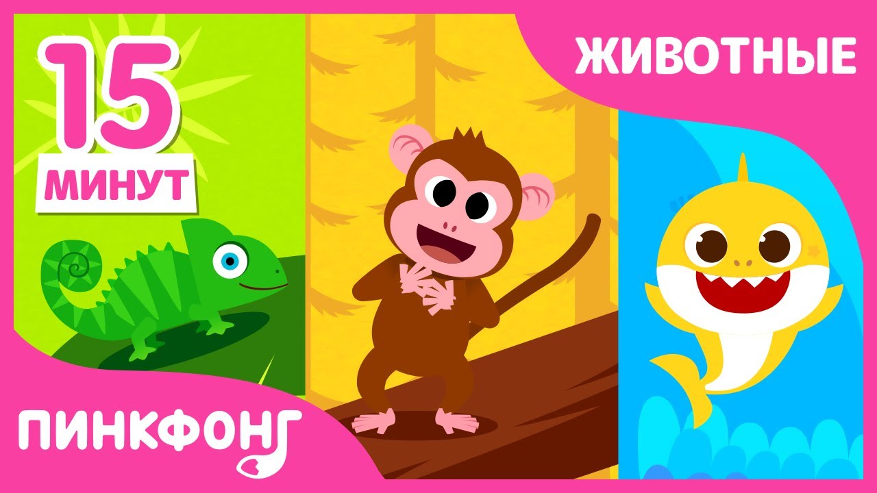 Как поют животные? | +Сборник | Песни про животные | Пинкфонг Песни для ...