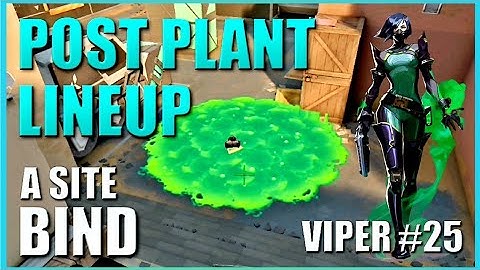 VIPER LINEUPS - BIND - Post Plant Snake Bite Setup Guide #25 - A Site