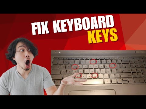 Fix Your Laptop Keyboard Not Working on Windows Laptop Full Fix Guide by Solution With Engineer Sarah