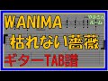 【TAB譜】『枯れない薔薇 - WANIMA』【Guitar】