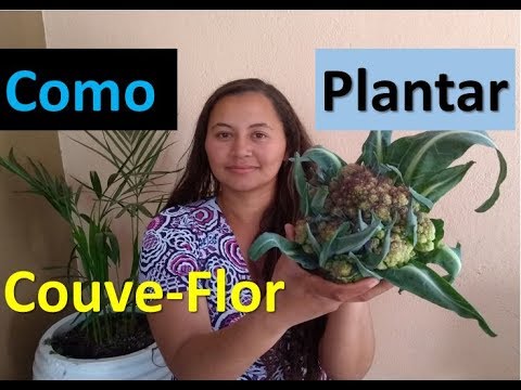 Vídeo: As melhores variedades de couve-flor: descrição, segredos de cultivo, fotos