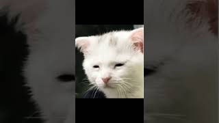 Real #cycling #roadbike #funny #relatable #pov