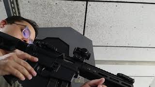 S&W M&P 15-22 SBR Suppressed with Binary Trigger