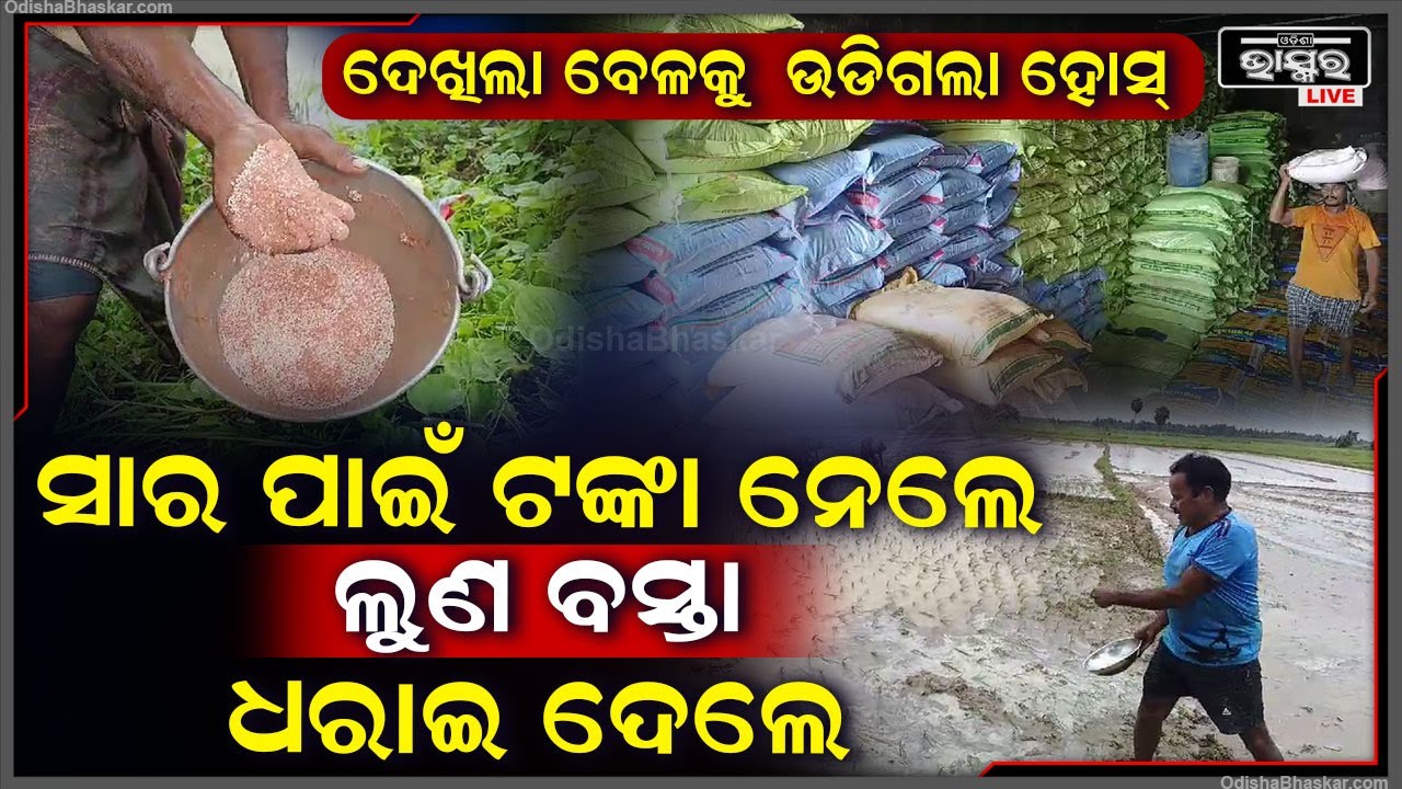 ଚାଲିଛି ବେଧଡକ ଠକେଇ, ଗଣି ନେଉଛନ୍ତି ମୁଠା ମୁଠା ଅସଲି ଟଙ୍କା, ହେଲେ ସାର ଦେଉଛନ୍ତି ନକଲି