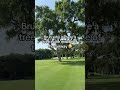Send to someone that’s posting a 10 on this hole 😅 #golf #LIVGolf