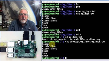 Raspberry Pi Linux Lesson 4: Creating and Editing Files with Nano Command