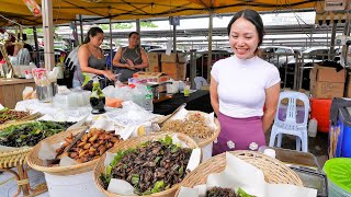 Malaysia Street Food Night Market | Puchong Thai Food Festival 2023 | 马来西亚 蒲种 泰国美食节 2023