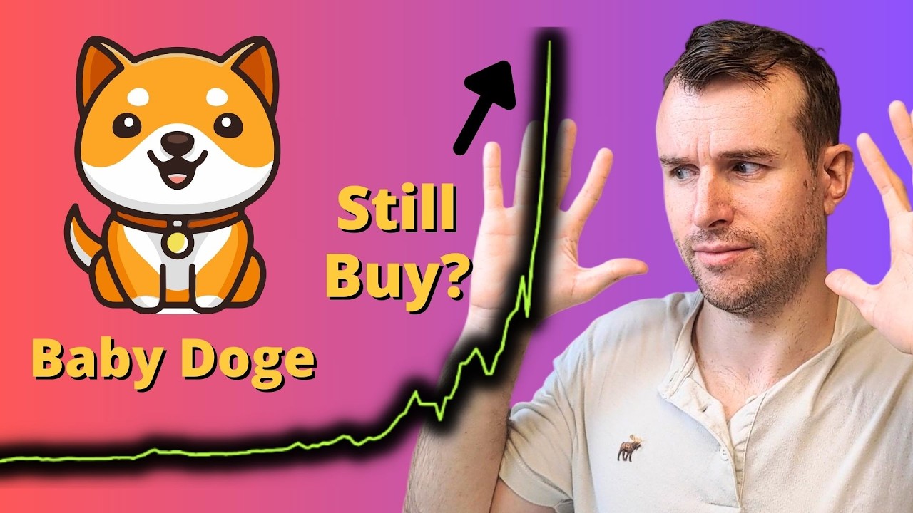Manipulation In Baby Doge 💀 BabyDoge Crypto Token Analysis