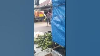 Orang gila joget di tengah pasar😂🤣