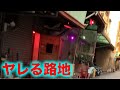 【台湾豊原】グラドル似20歳美女と〇〇できる住宅街に突如現れるピンク色に光る路地【後菜園】