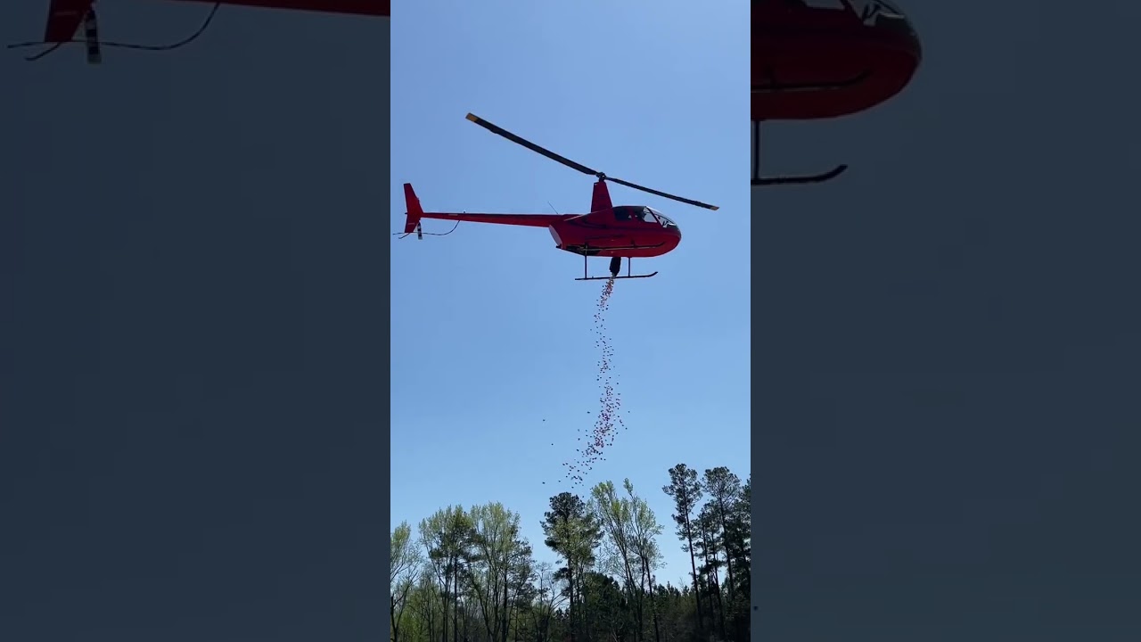 Easter egg drop from a helicopter